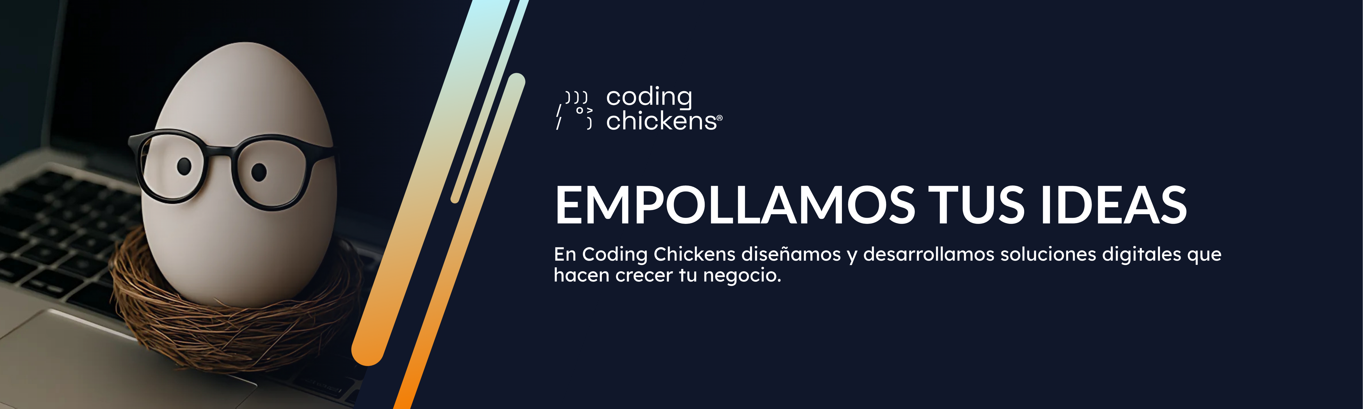Coding Chickens